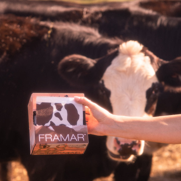 FRAMAR 5x11 Pop Up -foliolappu, Yeehaw (500 kpl)